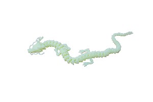 Resin